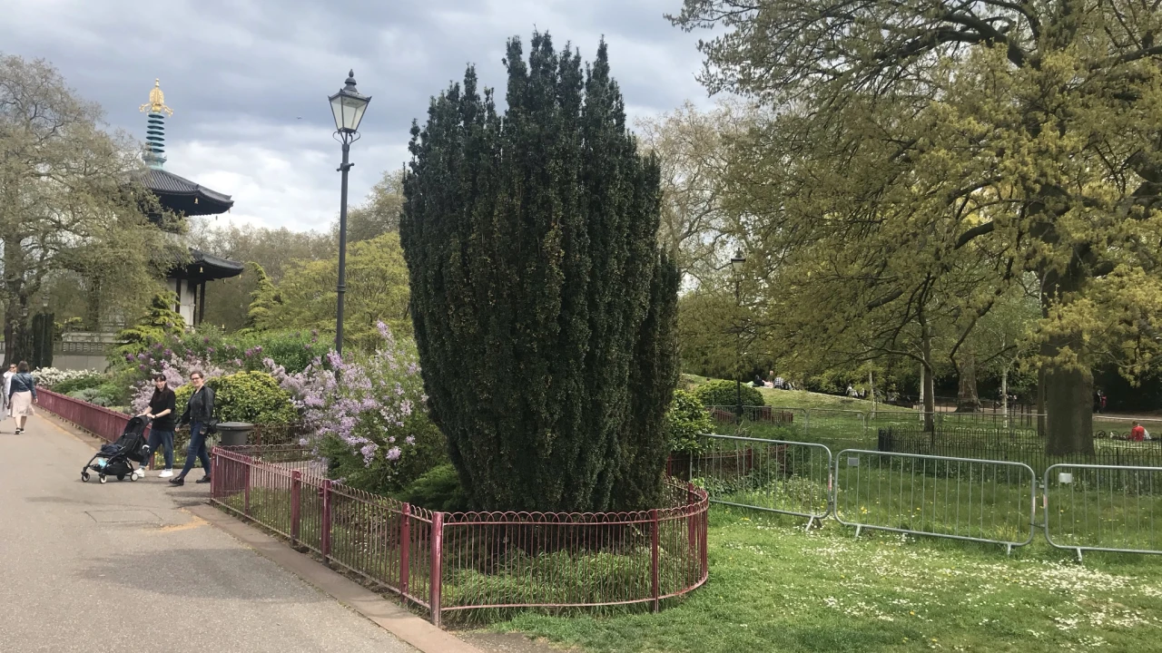 The London Peace Pagoda, Battersea Park